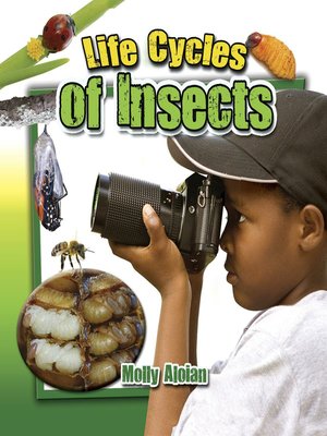 cover image of Life Cycles of Insects